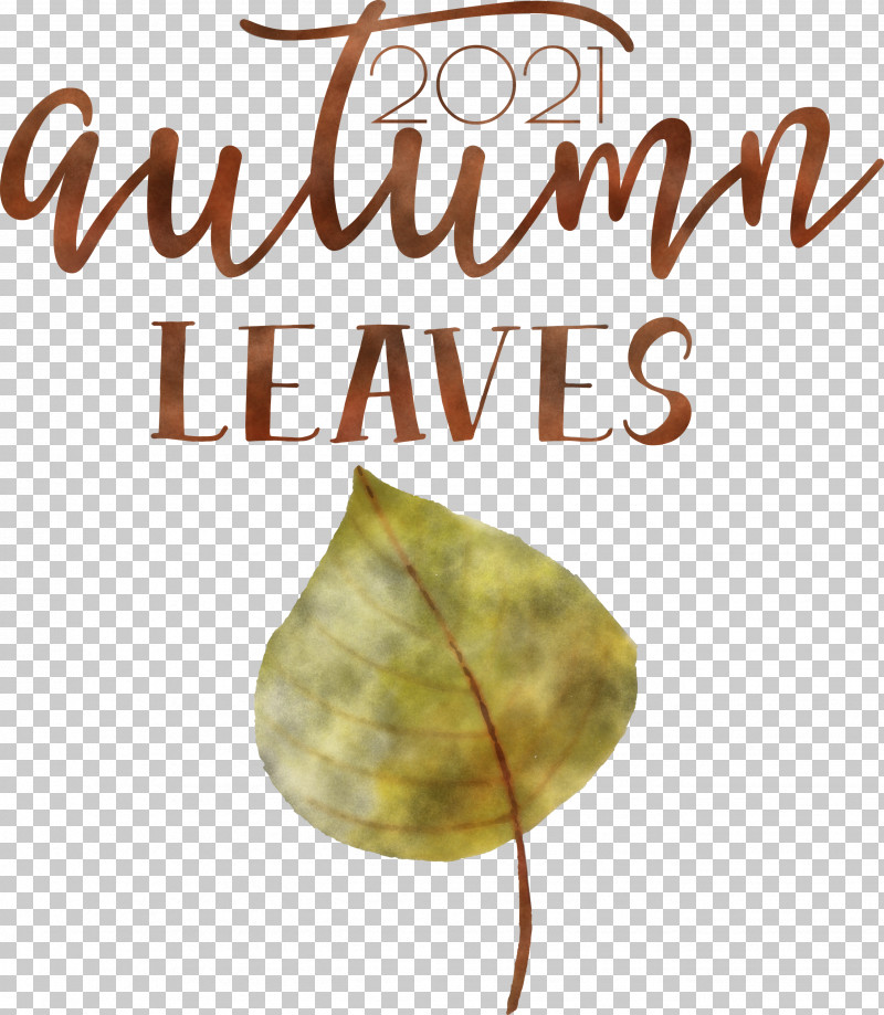 Autumn Leaves Autumn Fall PNG, Clipart, Autumn, Autumn Leaves, Biology, Fall, Leaf Free PNG Download