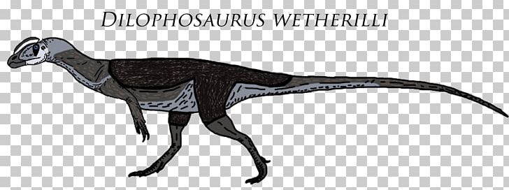 Dilophosaurus Sinemurian Velociraptor Theropods Chilesaurus PNG, Clipart, Animal Figure, Deviantart, Dilophosaurus, Dimorphodon, Dinosaur Free PNG Download
