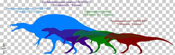 Giganotosaurus Dinosaur Size Carcharodontosaurus Mapusaurus Tyrannosaurus PNG, Clipart, Animal, Area, Argentinosaurus, Carcharodontosaurus, Carnivore Free PNG Download