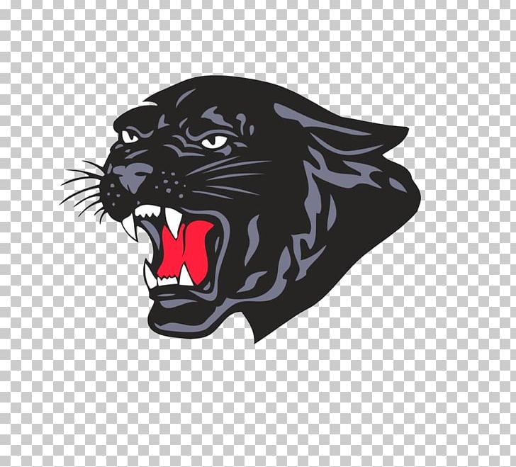 Lehigh Valley Christian High School Saucon Valley High School Saucon Valley Middle School Louis E. Dieruff High School PNG, Clipart, American Football, Big Cats, Black, Black Panther, Carnivoran Free PNG Download