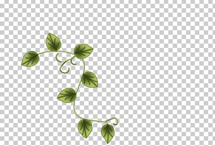 Flora Leaf Plant Stem Week Happiness PNG, Clipart, Branch, Clair, Flora, Green, Happiness Free PNG Download