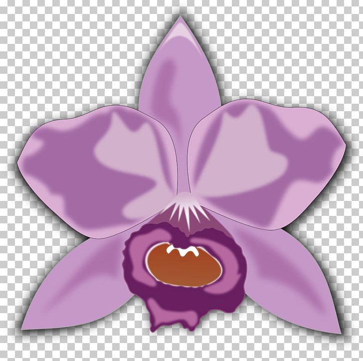 Flower Orchids PNG, Clipart, Butterfly, Cattleya, Cattleya Orchids, Flora, Flower Free PNG Download