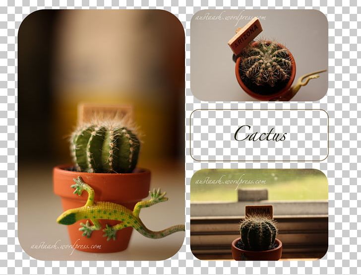 Product Design Citroën Cactus M Flowerpot PNG, Clipart, Cactus, Desert Sky, Flowerpot, Plant, Superfood Free PNG Download