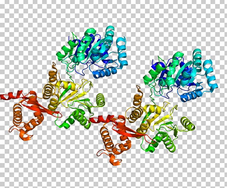 RecQ Helicase RECQL4 Genetics PNG, Clipart, 1 X, Art, Dna, Dna Replication, Gene Free PNG Download
