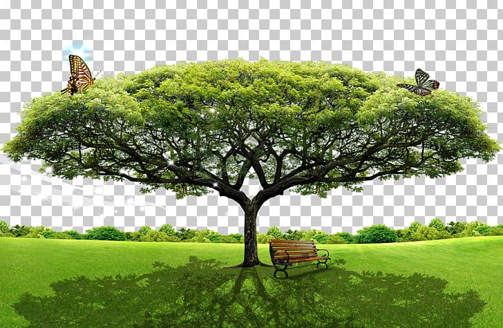 Tree Layers PNG, Clipart, Computer Wallpaper, Decorative Patterns, Download, Free Stock Png, Grass Free PNG Download