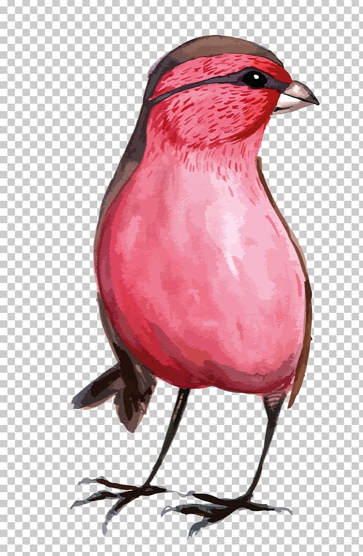 Bird Watercolor Painting Illustration PNG, Clipart, Animals, Art, Bird, Bird Cage, Black Free PNG Download