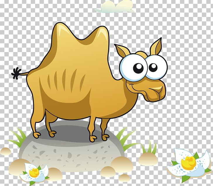 Camel T-shirt PNG, Clipart, 3d Computer Graphics, Animals, Camel Vector, Carnivoran, Cartoon Free PNG Download