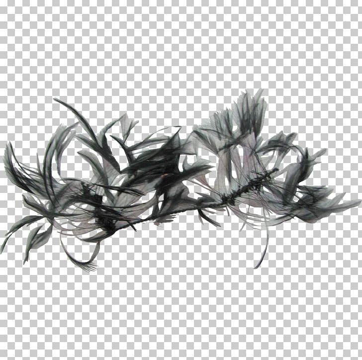 Feather Desktop Pastebin.com PNG, Clipart, 4k Resolution, Animals, Black And White, Computer Monitors, Dell Free PNG Download