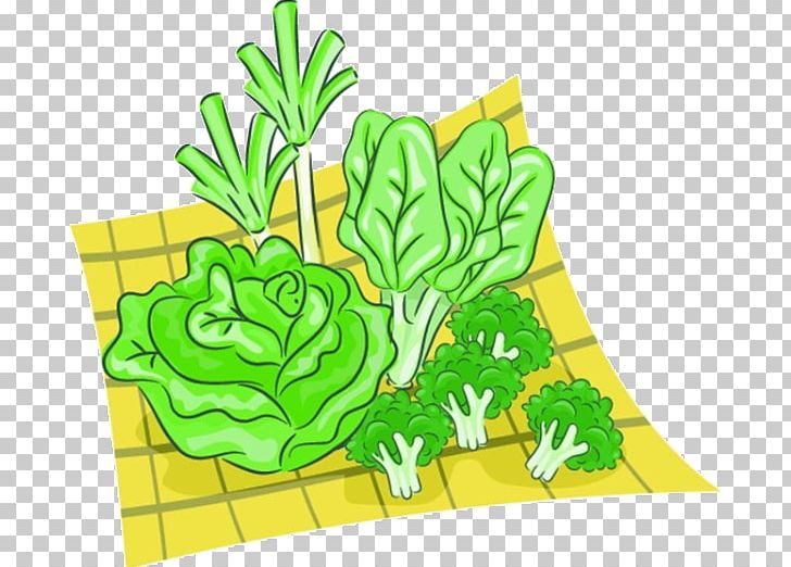 Leaf Vegetable PNG, Clipart, Art, Cabbage, Cartoon, Cartoon Character, Cartoon Cloud Free PNG Download