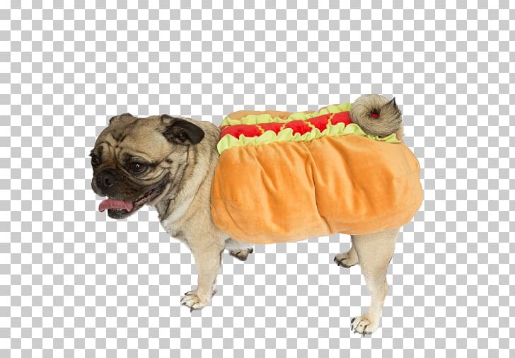 Pug Hot Dog Dachshund Puppy Beagle PNG, Clipart, Beagle, Carnivoran, Clothing, Companion Dog, Costume Free PNG Download