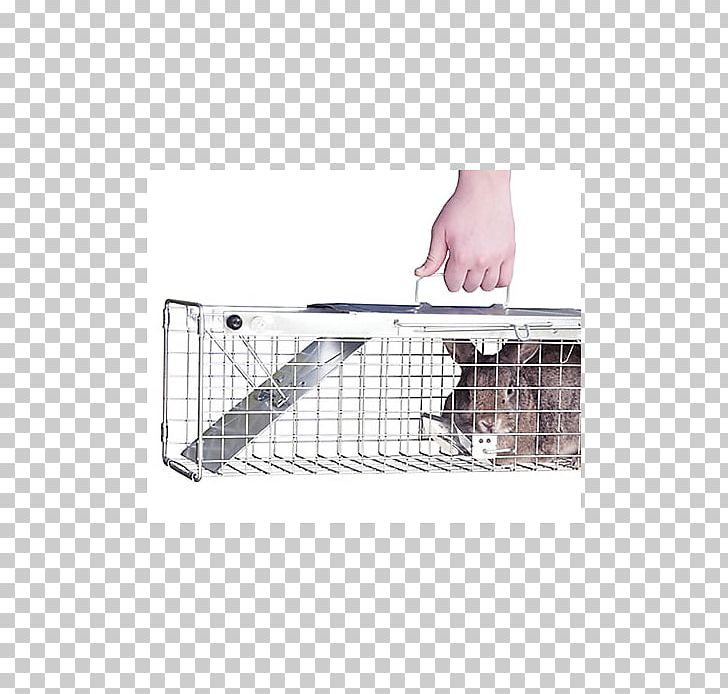 Trapping Cage American Mink European Rabbit Animal PNG, Clipart, American Mink, Animal, Animal Trap, Beech Marten, Cage Free PNG Download
