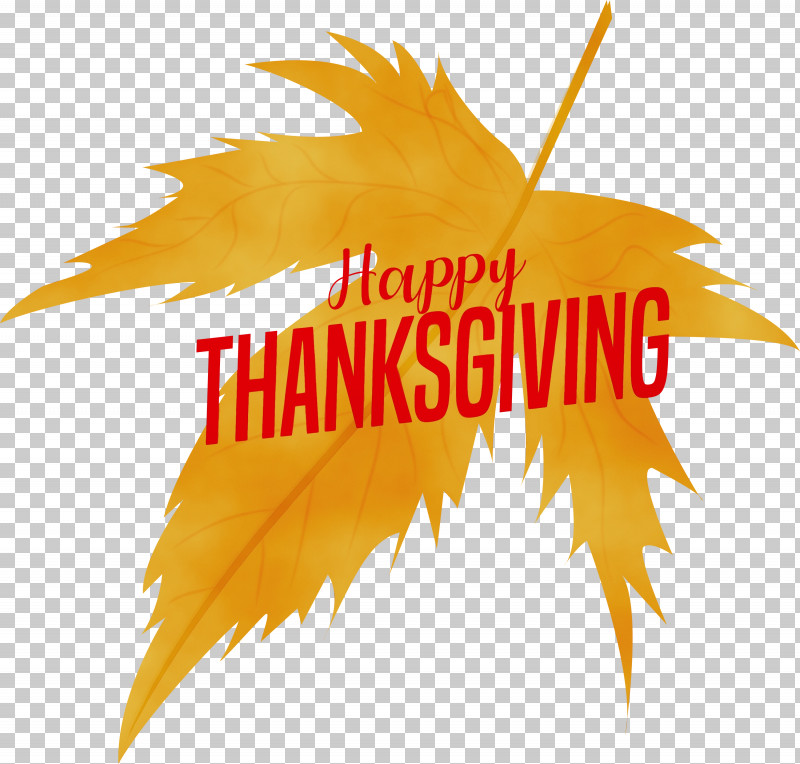 Leaf Maple Leaf / M Yellow Font Tree PNG, Clipart, Biology, Happy Thanksgiving, Leaf, Maple Leaf M, Meter Free PNG Download