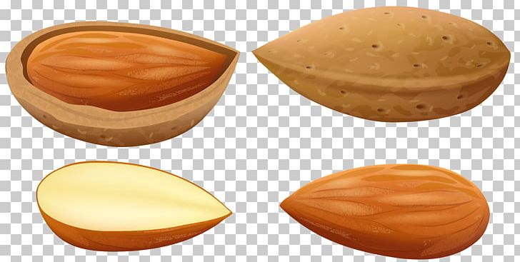 Almond Nut PNG, Clipart, Almond, Computer Icons, Drawing, Food, Fruit Free PNG Download