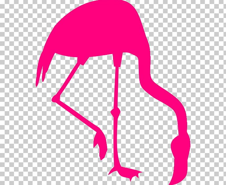 Flamingo PNG, Clipart, Animals, Area, Artwork, Beak, Bird Free PNG Download