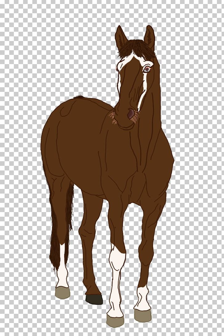 Mule Foal Stallion Mare Halter PNG, Clipart, Bridle, Camel, Camel Like Mammal, Colt, Donkey Free PNG Download