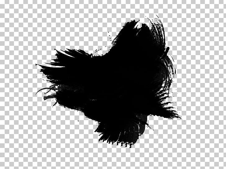 Template PNG, Clipart, Art, Artist, Beak, Black, Black And White Free PNG Download