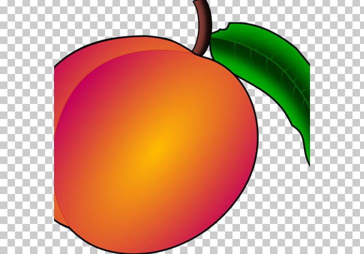 Apple Peach Apricot Fruit PNG, Clipart, Apple, Apricot, Cherry, Clip, Computer Icons Free PNG Download