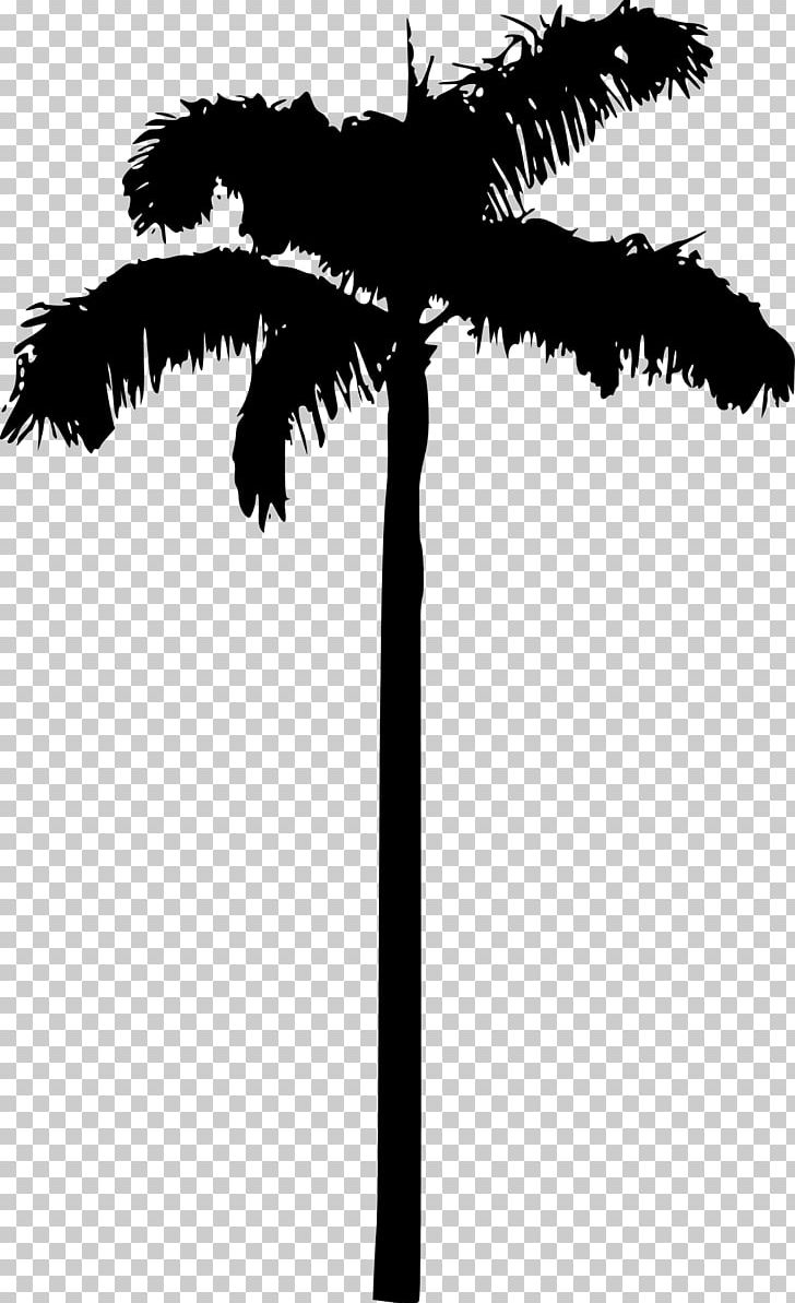 Arecaceae Tree Woody Plant Desktop PNG, Clipart, Arecaceae, Arecales, Asian Palmyra Palm, Black And White, Borassus Flabellifer Free PNG Download