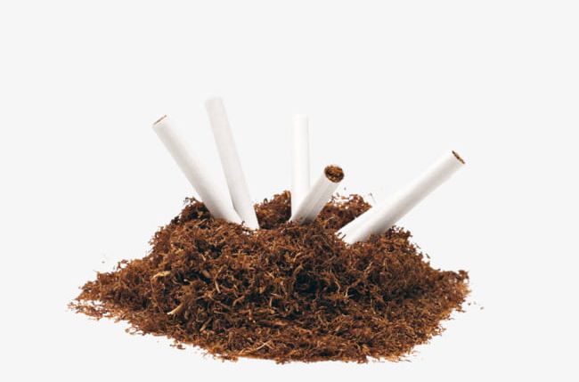 Cigarette Tobacco Tobacco PNG, Clipart, Addiction, Cigarette, Cigarette Butt, Cigarette Clipart, Cut Free PNG Download