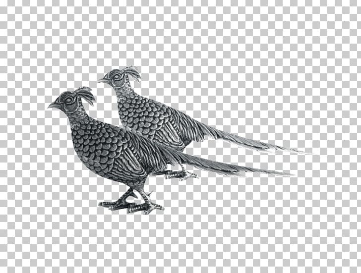 Feather Pheasant Table Home Kitchen PNG, Clipart, Animals, Beak, Bird, Black And White, Clothing Accessories Free PNG Download