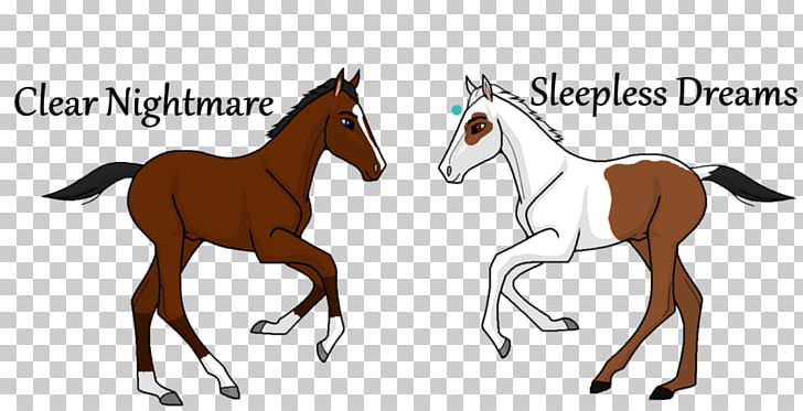 Foal Stallion Colt Mustang Bridle PNG, Clipart, Anim, Bridle, Colt, English Riding, Equestrian Free PNG Download