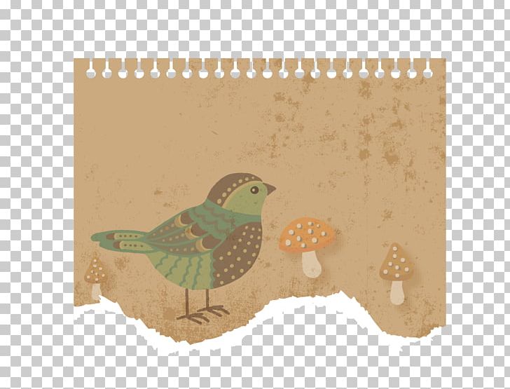 Paper Tearing Material PNG, Clipart, Beak, Bird, Birds, Border, Border Frame Free PNG Download