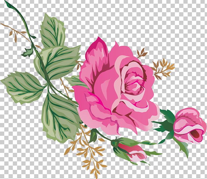 Centifolia Roses Garden Roses Rosaceae PNG, Clipart, Centifolia Roses, Chinese Flower, Cut Flowers, Download, Encapsulated Postscript Free PNG Download