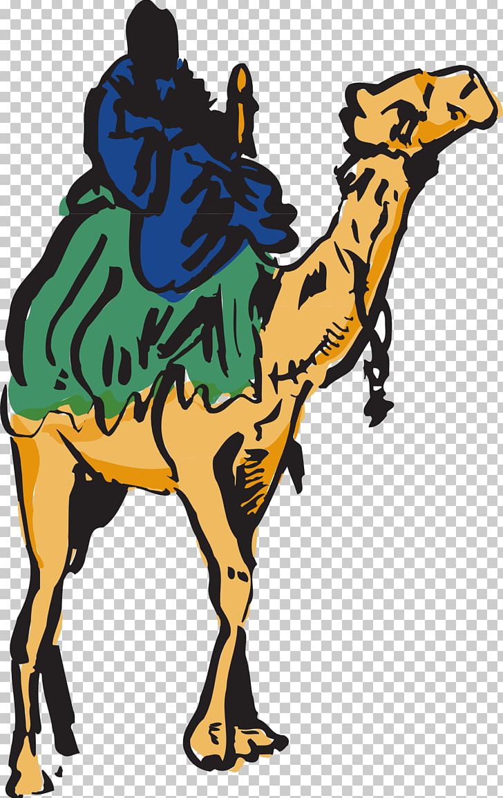 Dromedary Zagora PNG, Clipart, Animal Figure, Artwork, Camel, Camel Clipart, Camel Like Mammal Free PNG Download