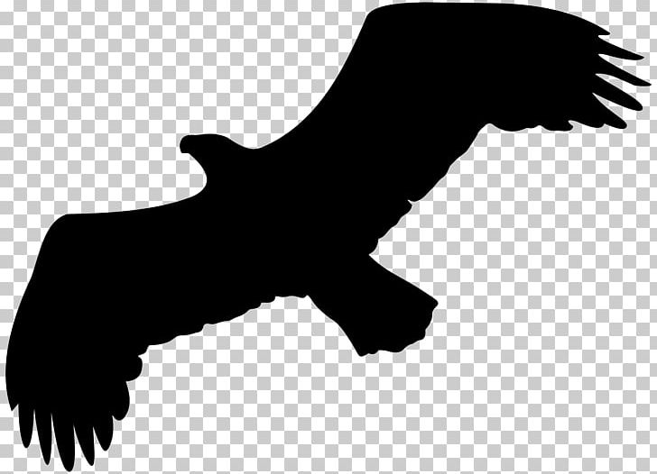 Silhouette Eagle PNG, Clipart, Art, Art Museum, Bald Eagle, Beak, Bird Free PNG Download