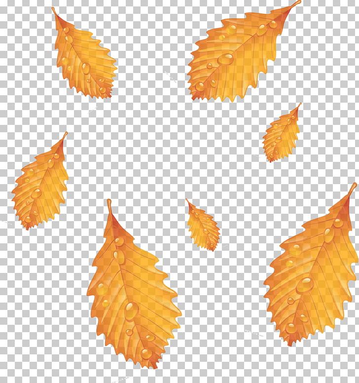 Autumn Leaf Deciduous Season PNG, Clipart, Autumn, Autumn Leaf, Autumn Tree, Decorate, Depression Free PNG Download