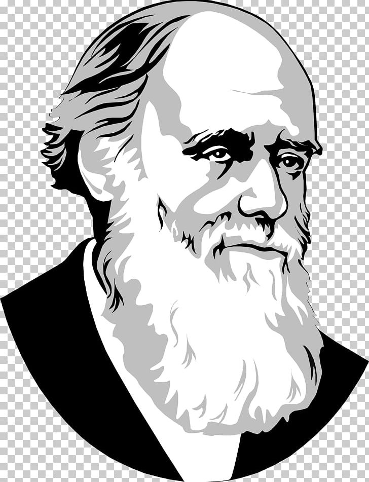 Drawing PNG, Clipart, Art, Beard, Biologist, Black And White, Cartoon Free PNG Download