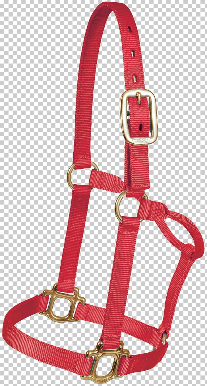 Halter Leash Lead Leather Nylon PNG, Clipart, Bronc Riding, Buckle, Cattle, Collar, Dog Collar Free PNG Download
