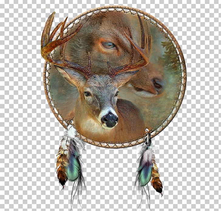 Oil Painting Art Deer Dreamcatcher PNG, Clipart, Art, Deer, Drawing, Dreamcatcher, Fauna Free PNG Download