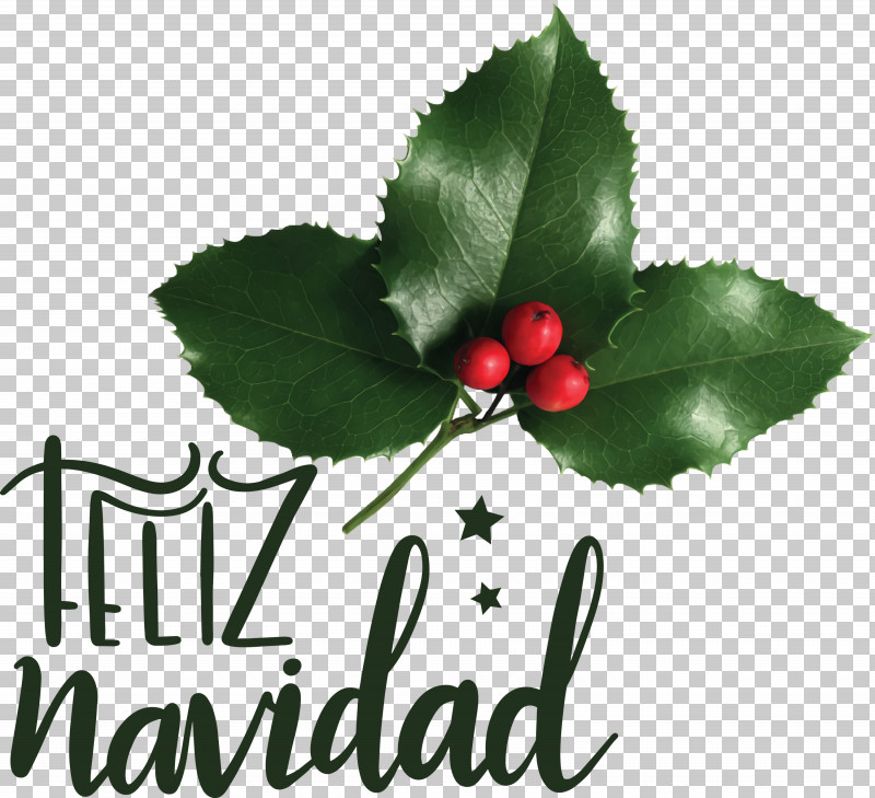 Feliz Navidad Merry Christmas PNG, Clipart, Christmas Day, Christmas Decoration, Christmas Elf, Christmas Lights, Christmas Ornament Free PNG Download