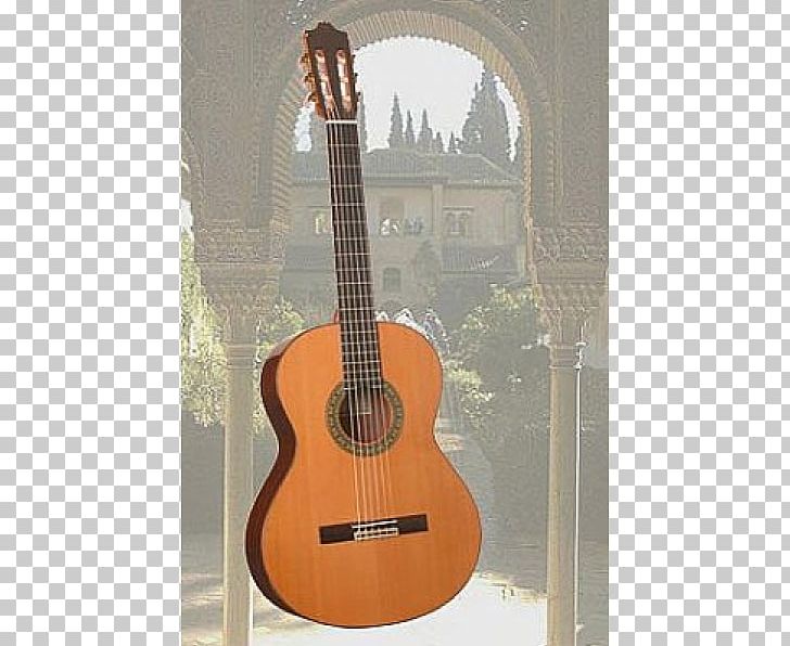 Acoustic Guitar Tiple Guitar Amplifier Cuatro Bass Guitar PNG, Clipart, Acoustic Electric Guitar, Classical Guitar, Cuatro, Guitar Accessory, Music Free PNG Download