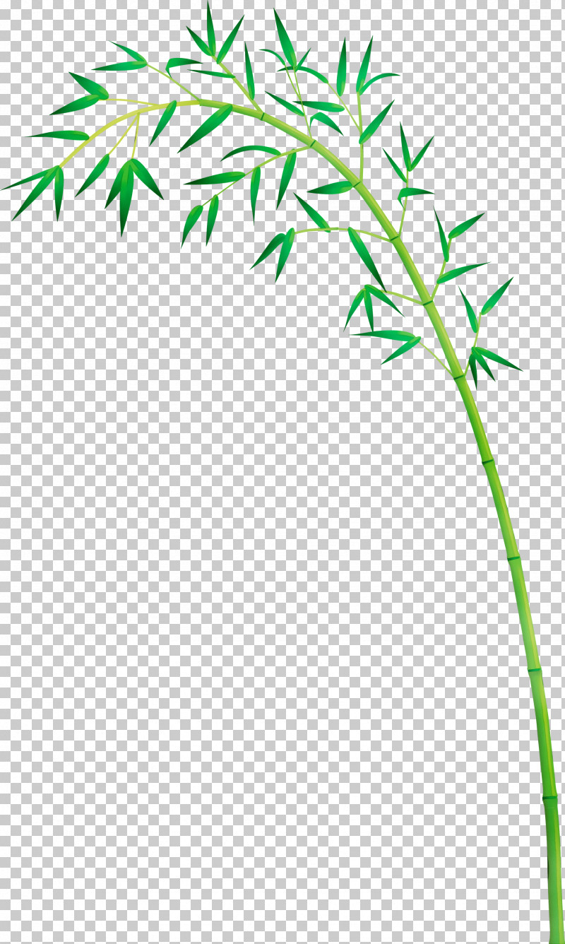 Leaf Plant Plant Stem Grass Grass Family PNG, Clipart, Bamboo, Flower, Grass, Grass Family, Leaf Free PNG Download