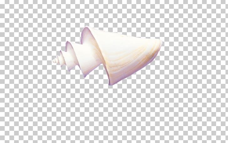 Finger Angle PNG, Clipart, Angle, Beach, Cartoon Conch, Conch, Conch Blowing Free PNG Download