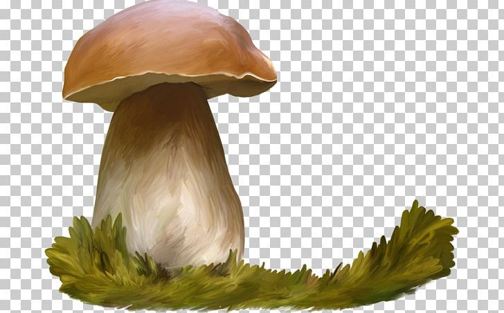 Oyster Mushroom Watercolor Painting Penny Bun PNG, Clipart, Animal, Cartoon, Edible Mushroom, Green, Ingredient Free PNG Download