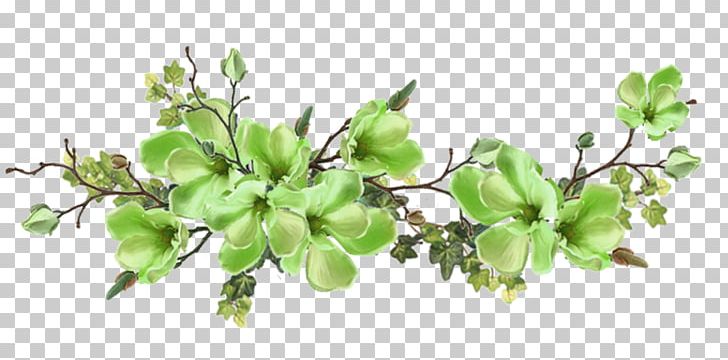 Portable Network Graphics Flower Psd PNG, Clipart, Blue, Branch, Cari, Flower, Green Free PNG Download