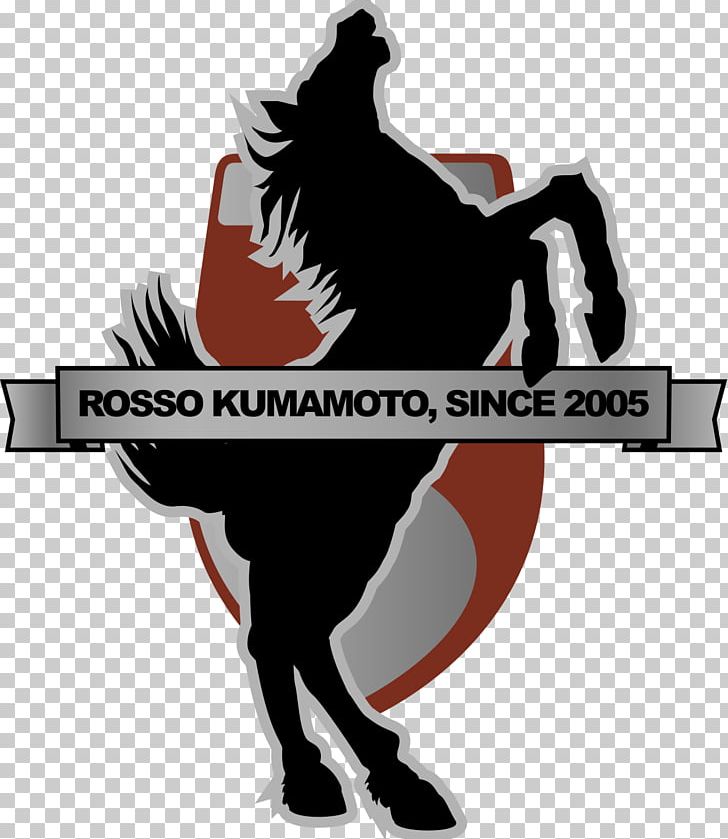 Roasso Kumamoto J2 League Avispa Fukuoka Kamatamare Sanuki PNG, Clipart,  Free PNG Download