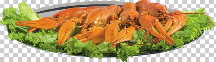 Beer Crayfish As Food Ryazan PNG, Clipart, Animal Source Foods, Beer, Carrot, Crayfish, Crayfish As Food Free PNG Download