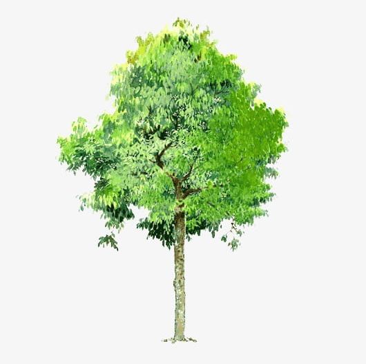 Trees Background Trees Transparent Element PNG, Clipart, Backgrounds, Branch, Creative, Environment, Forest Free PNG Download