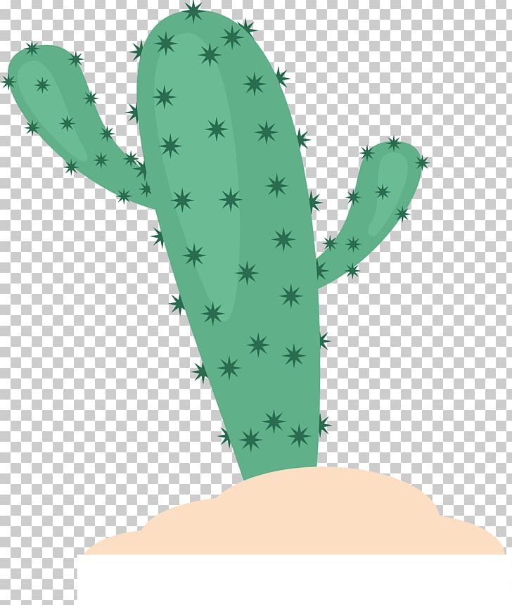 Cactaceae Cactus In The Desert Erg PNG, Clipart, Cactus In The Desert, Cactus Vector, Cactus Watercolor, Cartoon Cactus, Caryophyllales Free PNG Download