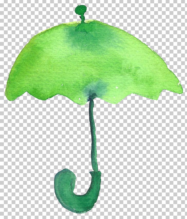 Cartoon Drawing PNG, Clipart, Animation, Background Green, Caricature, Cartoon, Cartoon Umbrella Free PNG Download