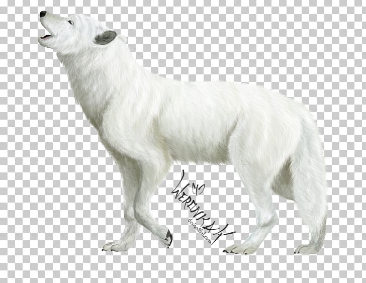 Dog Breed Arctic Fox Canidae Carnivora PNG, Clipart, Animal, Animals, Arctic Fox, Breed, Breed Group Dog Free PNG Download