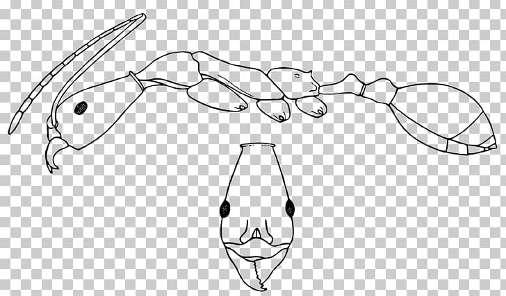 Line Art Drawing Sketch PNG, Clipart, Angle, Area, Arm, Art, Black And White Free PNG Download
