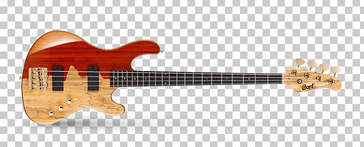 Fender Precision Bass Bass Guitar Cort Guitars Double Bass PNG, Clipart, Acoustic Electric Guitar, Acoustic Guitar, Cuatro, Double Bass, Fretless Guitar Free PNG Download