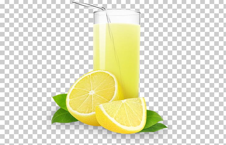 Orange Juice Lemonade Milkshake PNG, Clipart, Apple Juice, Citric Acid, Citrus, Cocktail Garnish, Concentrate Free PNG Download