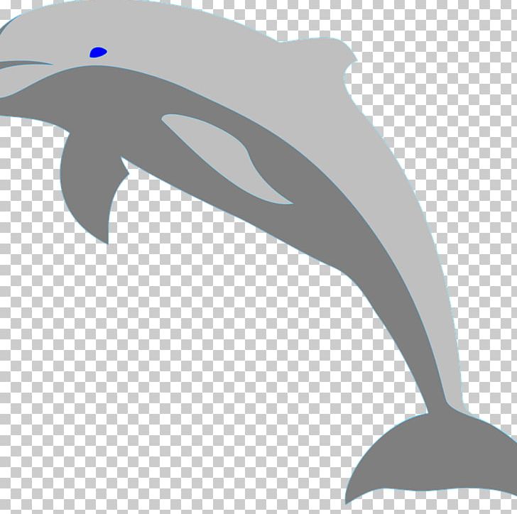 Porpoise Graphics Oceanic Dolphin PNG, Clipart, Animals, Dolphin Clipart, Download, Drawing, Fauna Free PNG Download