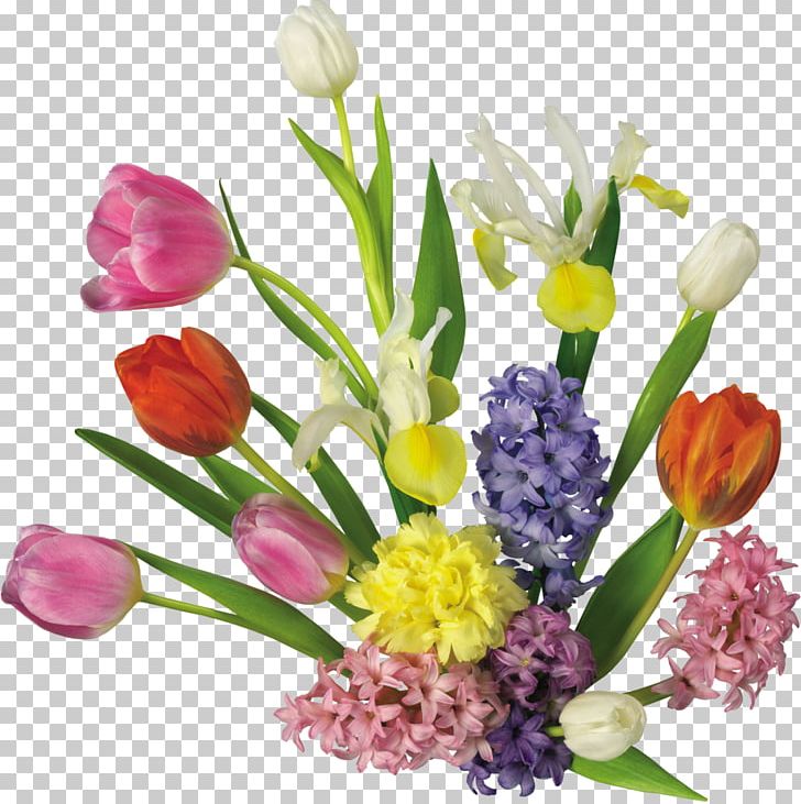 Tulip Cut Flowers Plant 0 PNG, Clipart, 2017, Color, Crocus, Cut Flowers, Floral Design Free PNG Download